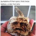 Halloween Memes - pumpkin drained of spice
