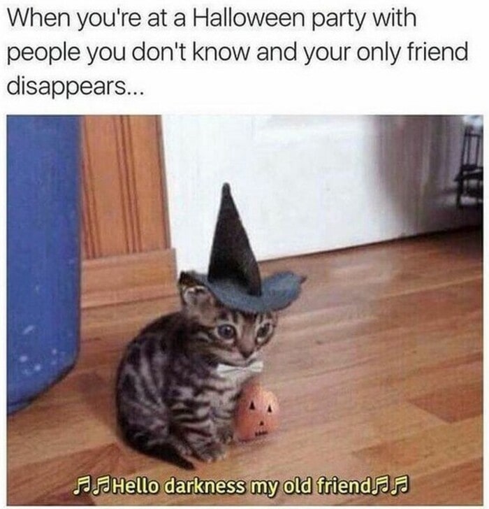 Halloween Memes - alone cat at halloween party