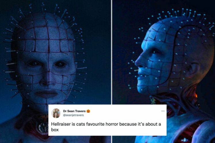 The Funniest Hellraiser Memes Even Pinhead Would Approve Of