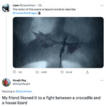 House of the Dragon Finale Memes Tweets - dragon battle