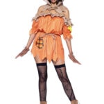 Sexy Halloween Costumes - Scarecrow