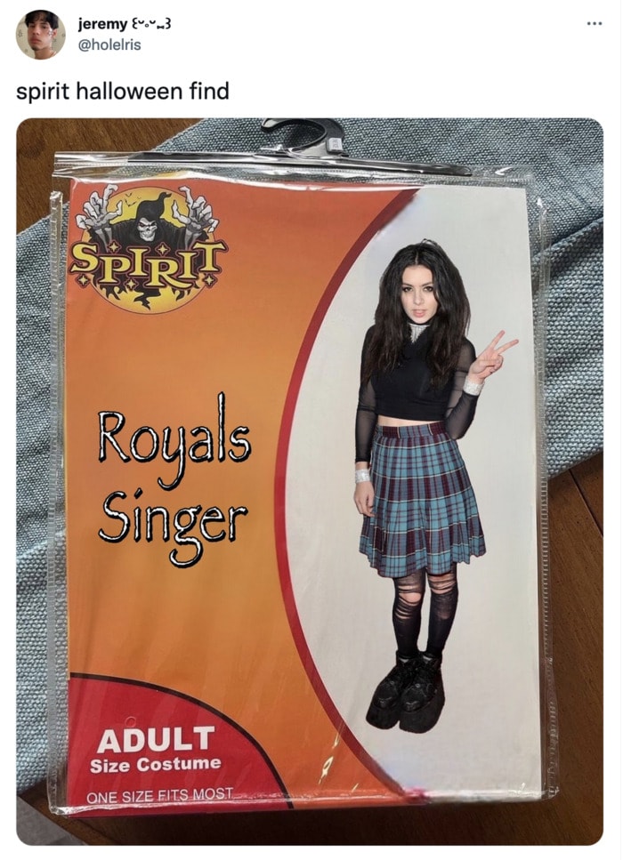 Spirit Halloween Costume Memes - Lorde