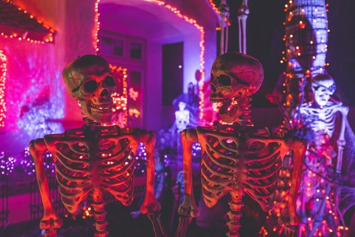 Halloween Puns -two skeletons