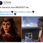 Black Panther Wakanda Forever Memes and Tweets - shuri and wanda scarlet witch