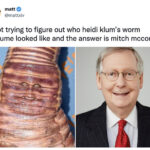 Heidi Klum Worm Memes Tweets - mitch mcconnell