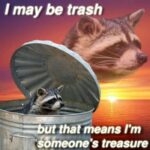 Positive Memes - trash and raccoon