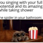 Positive Memes - spider in your bathroom