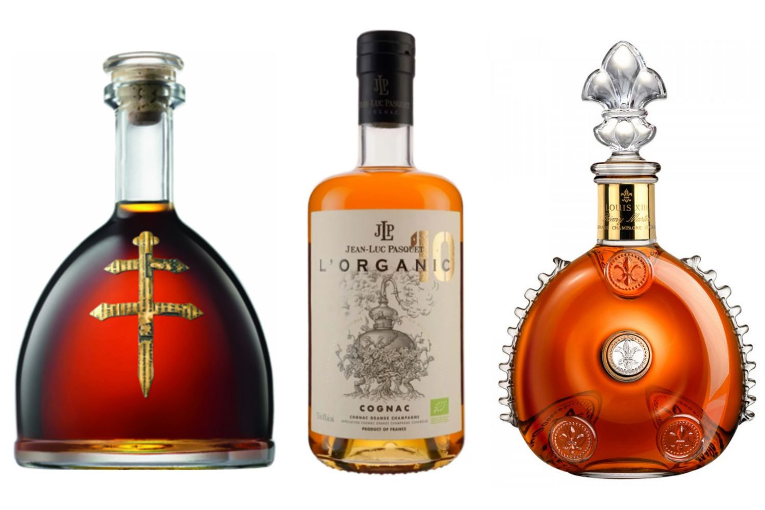 We Ranked 16 Cognac Brands from Worst to Best | Darcy
