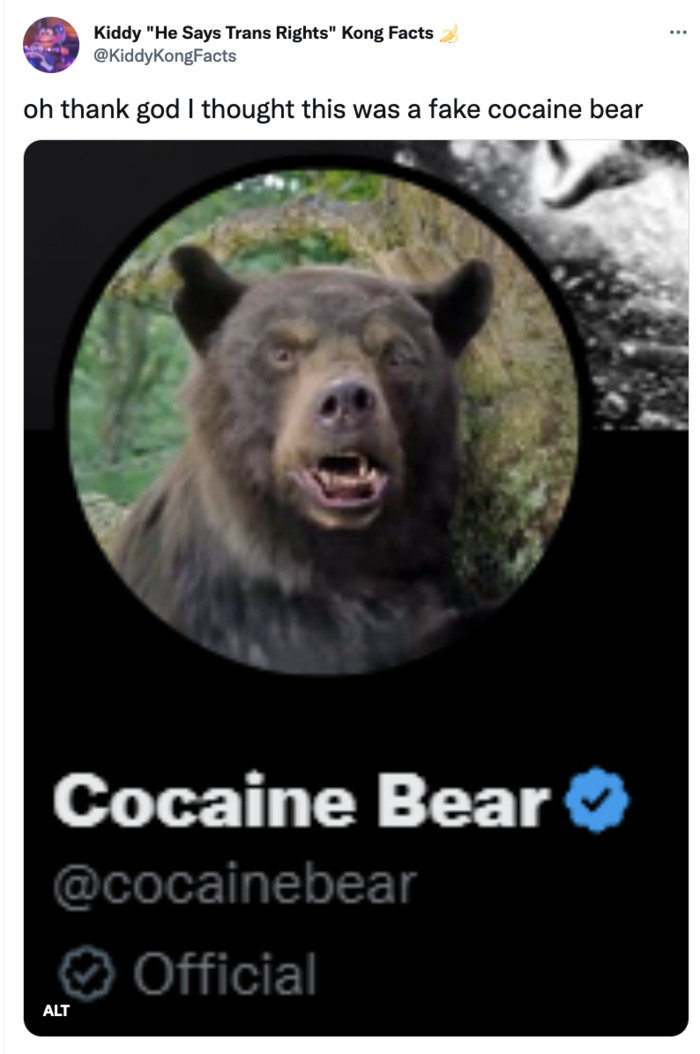 Cocaine Bear Memes Tweets - twitter official