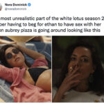 White Lotus Season Two Memes Tweets - aubrey plaza being hot