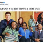 White Lotus Season Two Memes Tweets - abbott elementary
