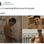 White Lotus Season Two Memes Tweets - white lotus plot