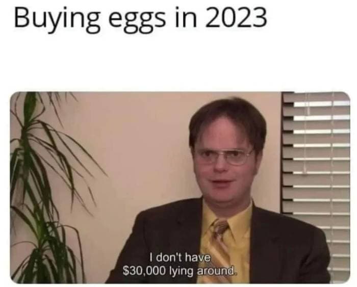 2023 Memes - egg prices