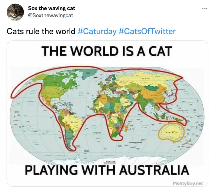 Cat memes - world is a cat