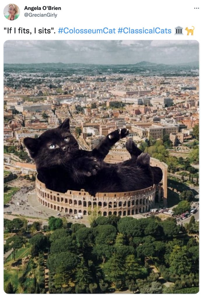 Cat memes - cat in colosseum