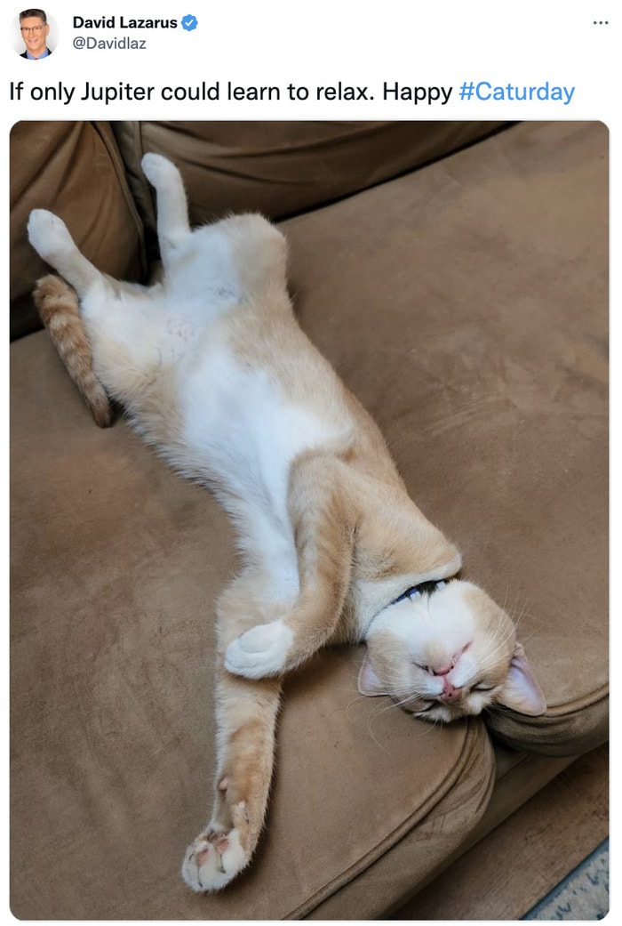 Cat memes - sleeping cat