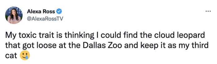 Dallas Zoo Missing Clouded Leopard Tweets Memes - toxic trait