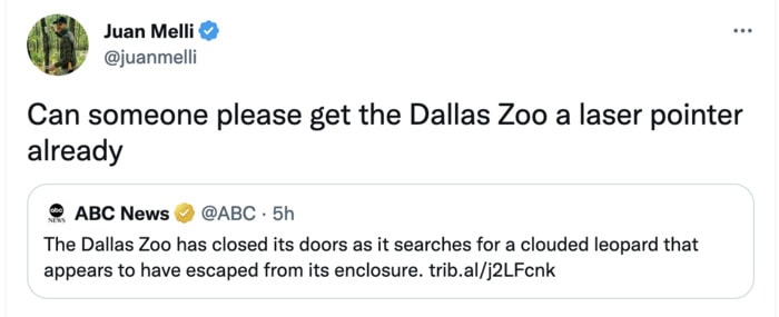 Dallas Zoo Missing Clouded Leopard Tweets Memes - laser pointer