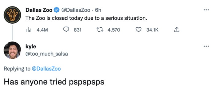 Dallas Zoo Missing Clouded Leopard Tweets Memes - pspspsps