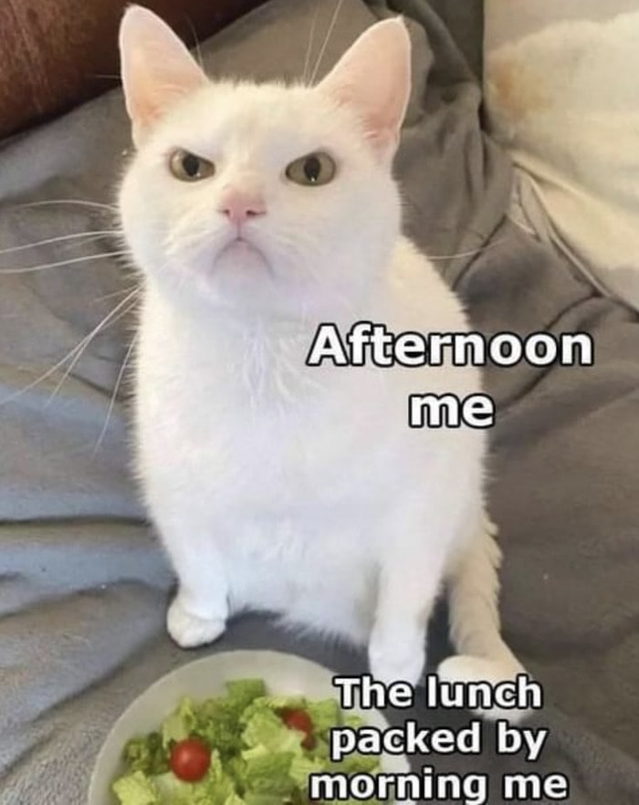 diet memes - lunch salad