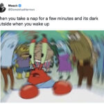 Hilarious Memes - spongebob taking a nap