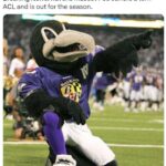 NFL Football Mascots Ranked - Baltimore Raven - Poe