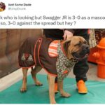 NFL Football Mascots Ranked - Cleveland Browns - Swagger Jr.