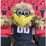 NFL Football Mascots Ranked - Atlanta Falcons - Freddie Falcon