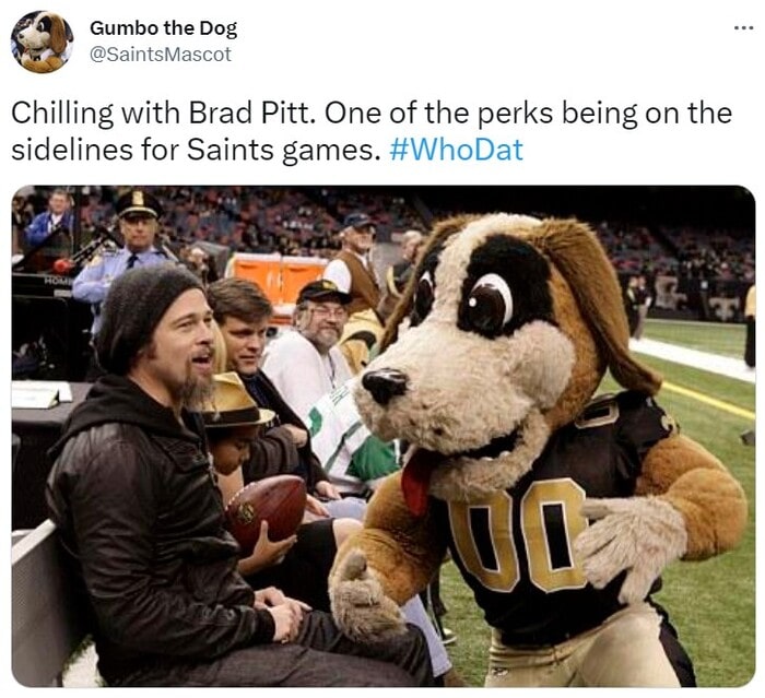 NFL Football Mascots Ranked - New Orleans Saints - Gumbo