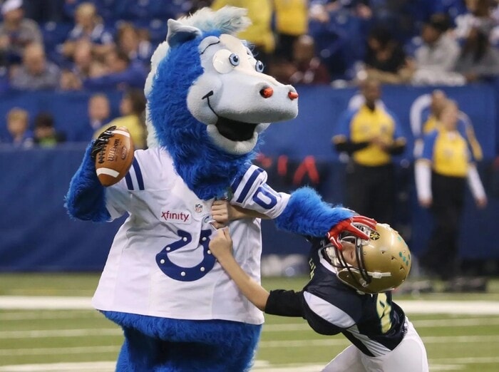 NFL Football Mascots Ranked - Indianapolis Colts - Blue