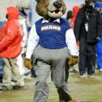 NFL Football Mascots Ranked - Chicago Bears - Staley Da Bear