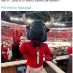 NFL Football Mascots Ranked - Houston Texans - Toro