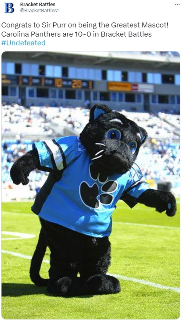 NFL Football Mascots Ranked - Carolina Panthers - Sir Purr