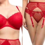 Sexy Valentine’s Day Lingerie - Red Full Figure Plunge Bra and Suspender Brief Set by Dita Vonteese Lingerie