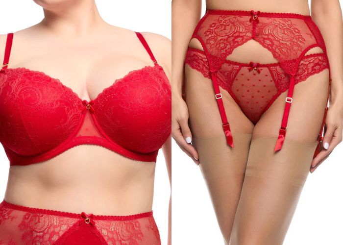 Sexy Valentine’s Day Lingerie - Red Full Figure Plunge Bra and Suspender Brief Set by Dita Vonteese Lingerie