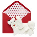 Target Valentine's Day 2023 - Furry Dog Letter