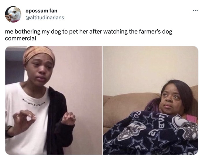 Super Bowl 2023 Memes Tweets - farmer's dog food pets