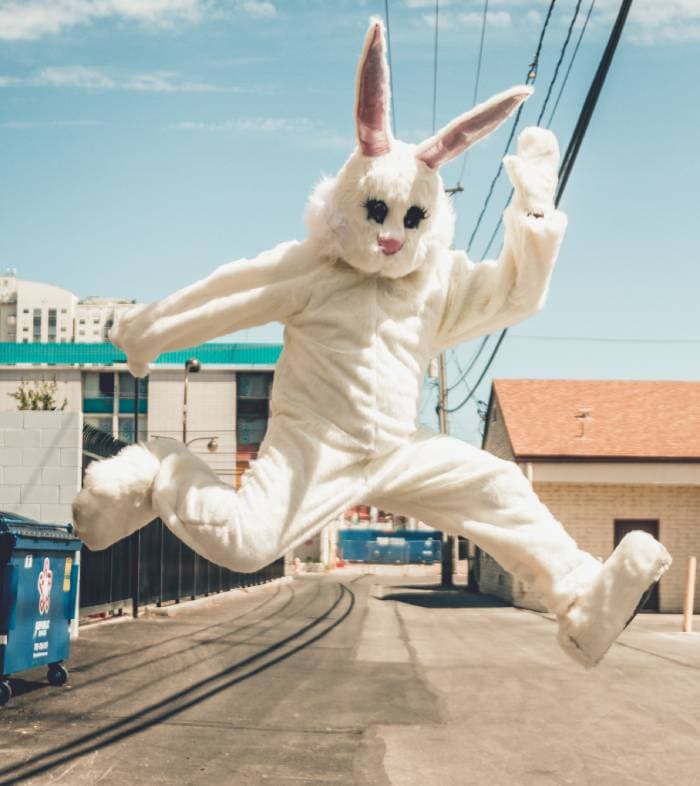 Easter puns - jumping bunny