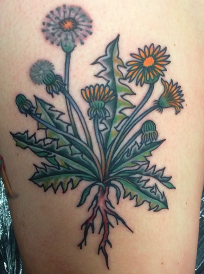 Flower tattoos- Dandelion Tattoo