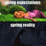 Spring Memes - reality vs expectations