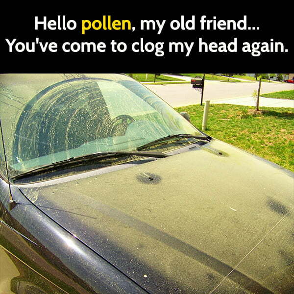 Spring Memes - pollen on car
