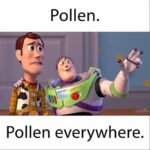 Spring Memes - pollen everywhere toy story