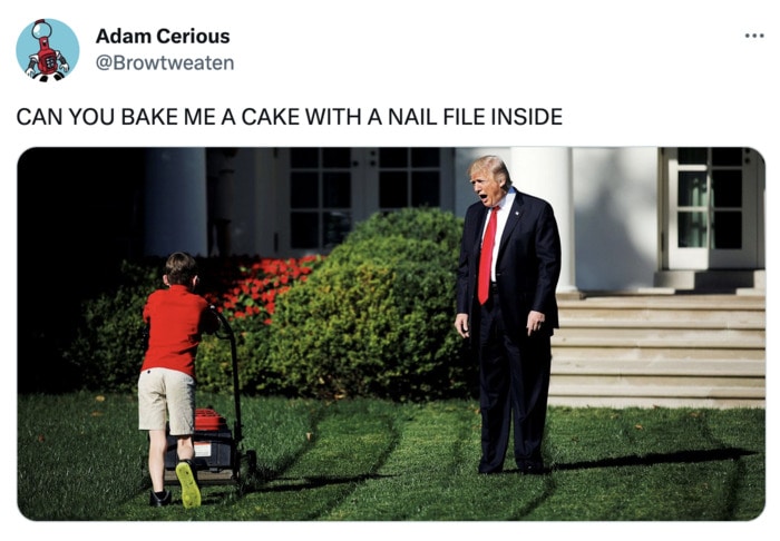 Trump indictment tweets memes twitter reactions - bake a cake with nail file