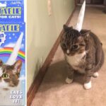 Amazon Spring Products - inflatable cat unicorn horn