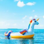 Interesting Facts - Unicorn Floatie
