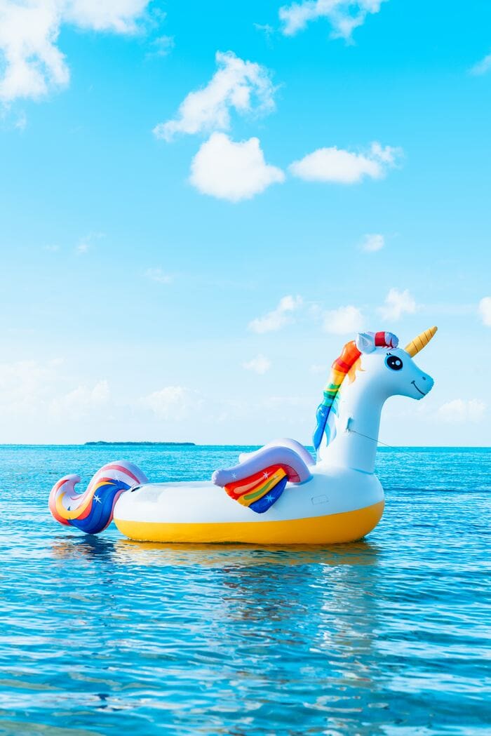 Interesting Facts - Unicorn Floatie