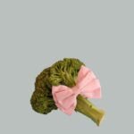 Interesting Facts - Broccoli with a Bow