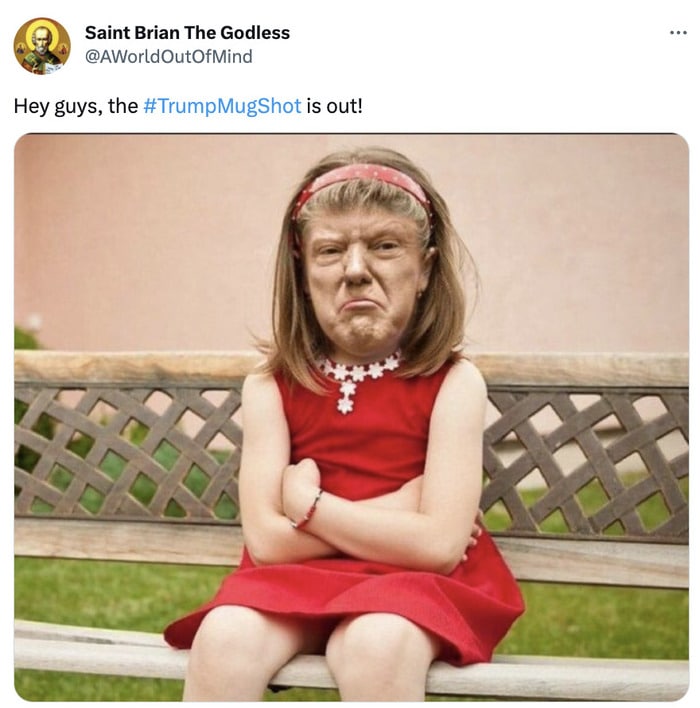 Trump Mugshot Memes Tweets - trump as little girl
