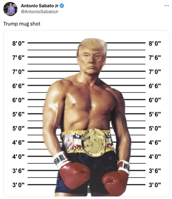 Trump Mugshot Memes Tweets - trump as wrestler