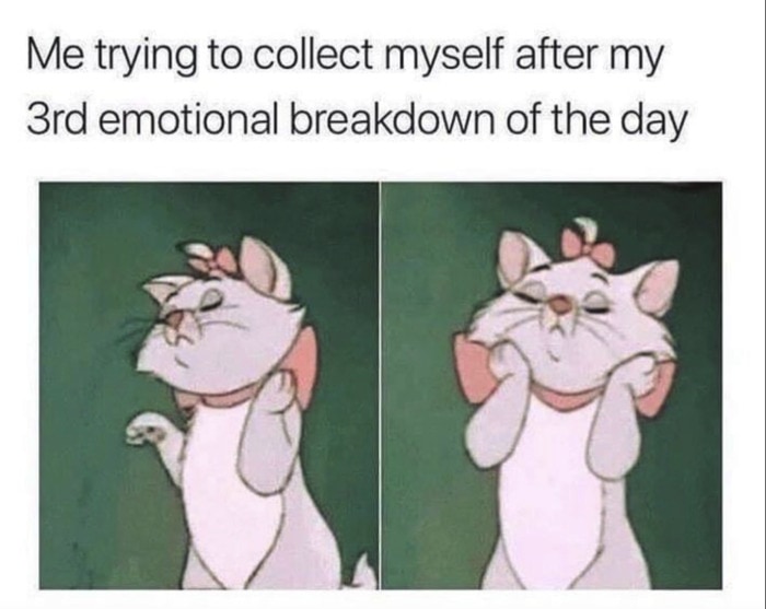 Disney Memes - emotional breakdown Marie